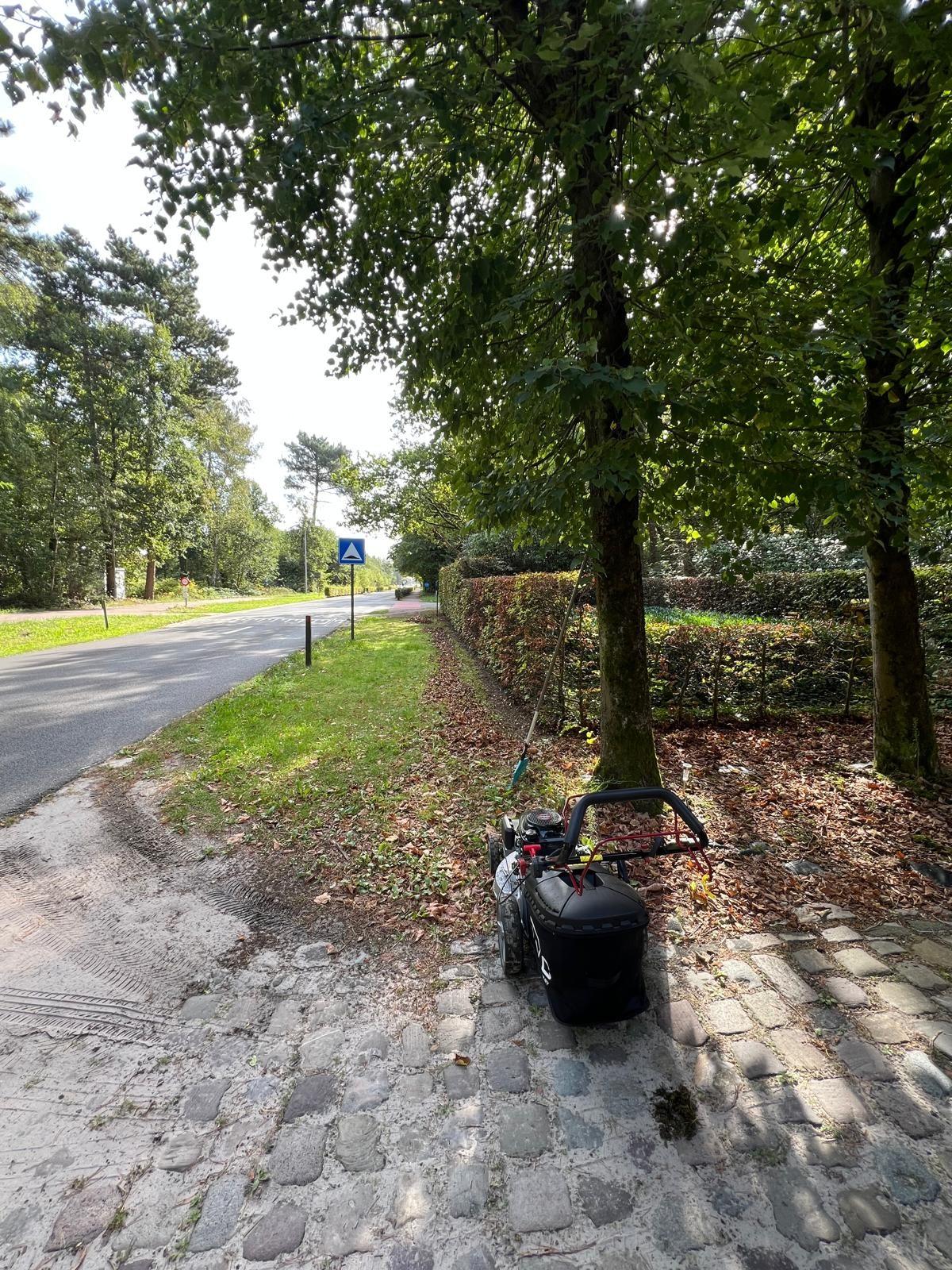 De berm langs de weg voor de maaibeurt