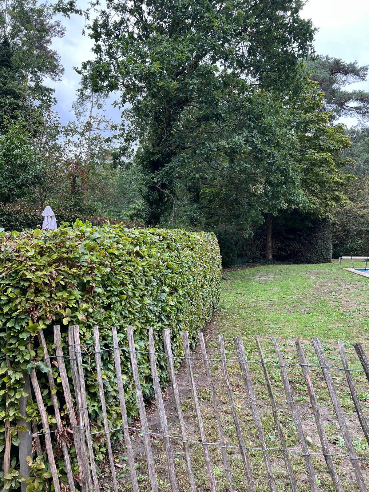 Haag rond de tuinzone bij het zwembad