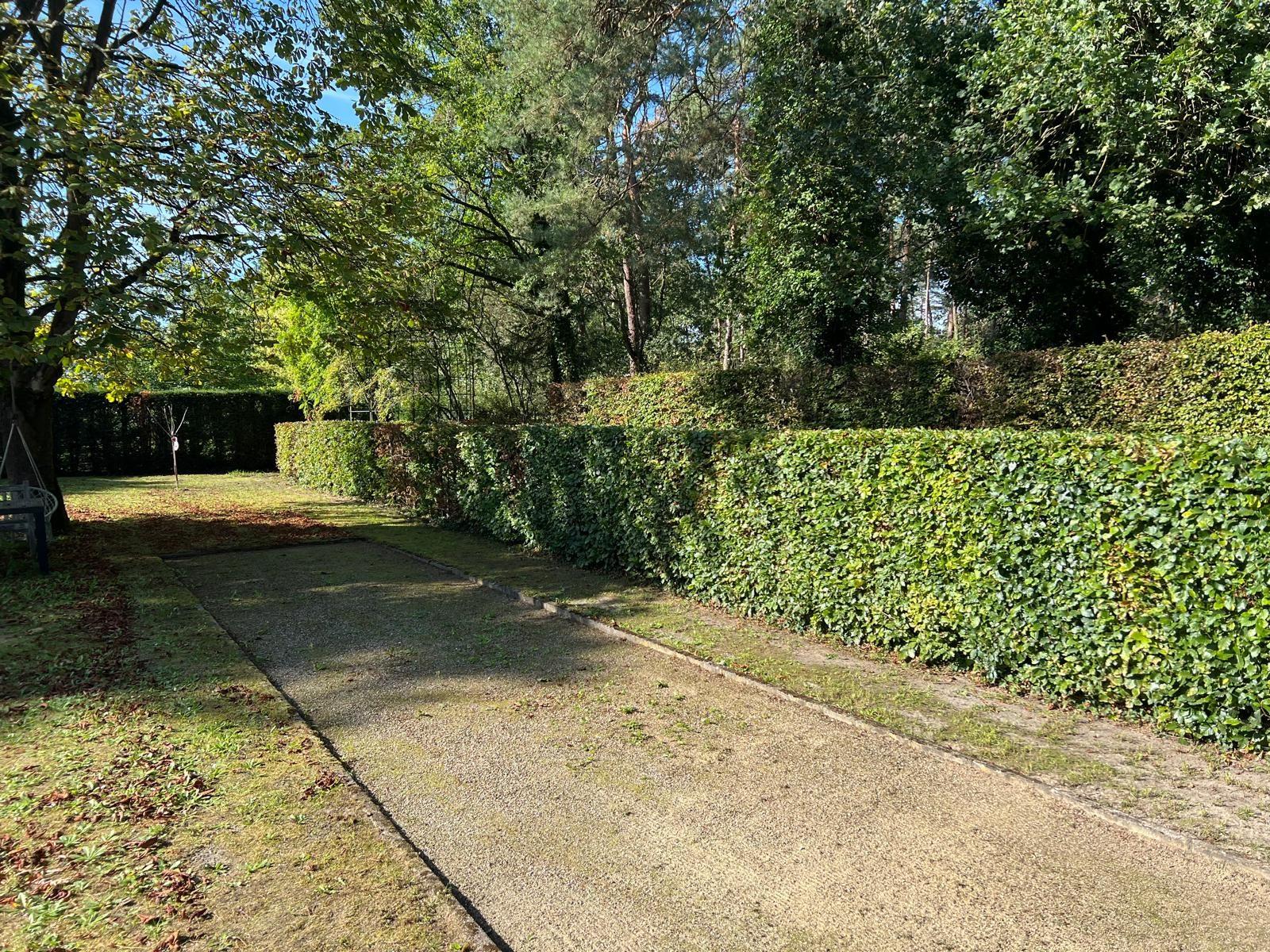 Beukenhaag strak geschoren langs een tuinpad